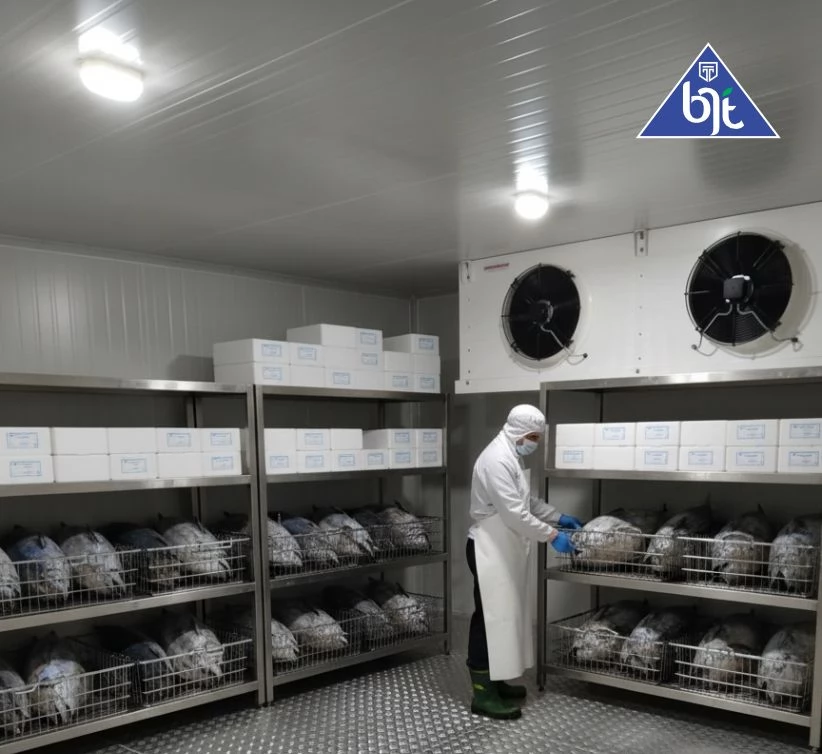 Harga cold storage Bengkulu Selatan